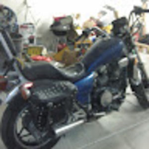 Meet your Posher, Ernie